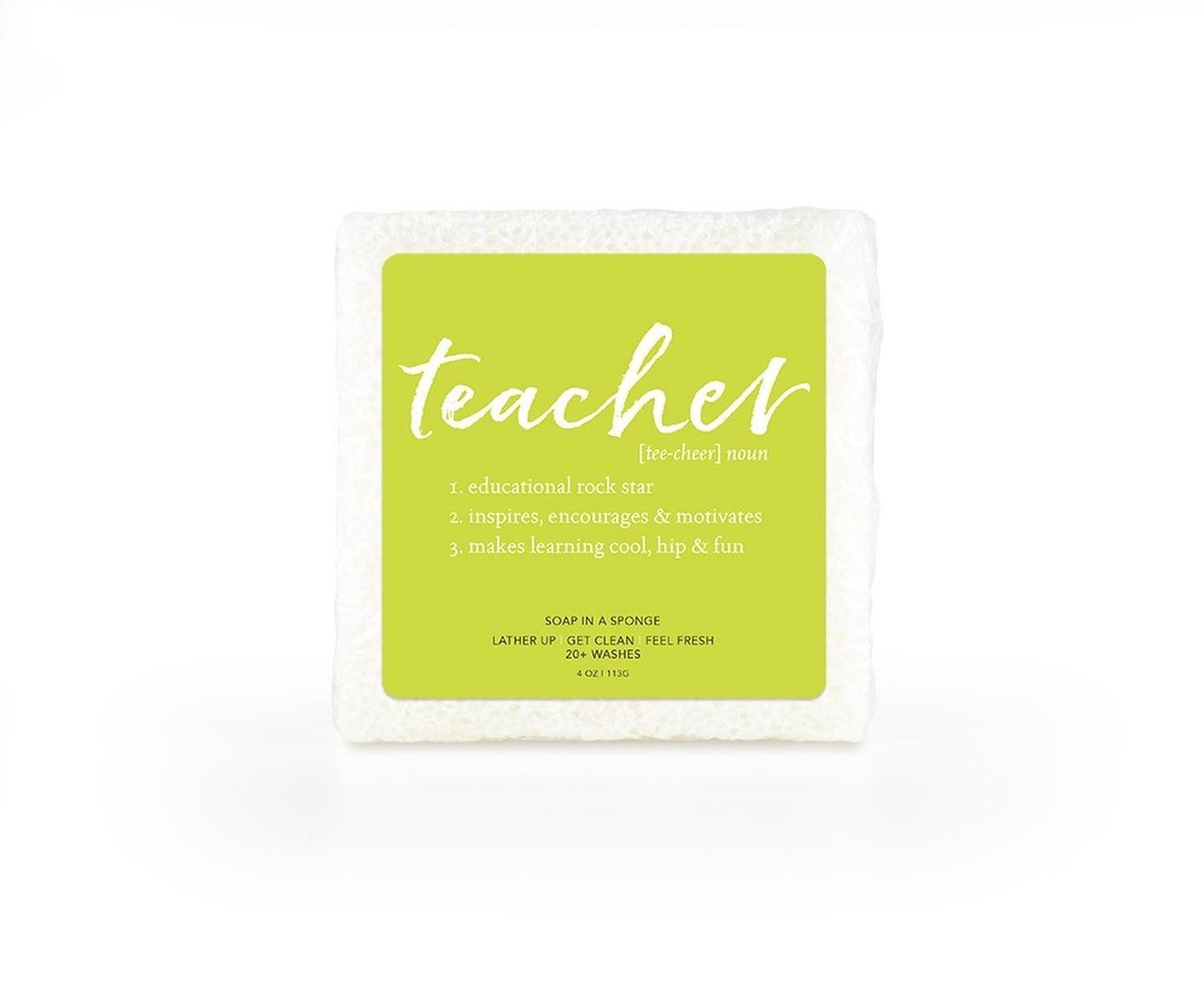 Teacher Soap Sponge