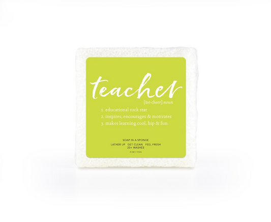 Teacher Soap Sponge