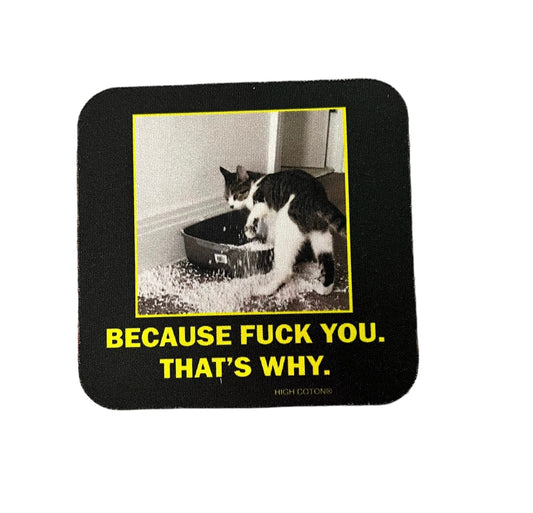 Cat That's Why Coaster