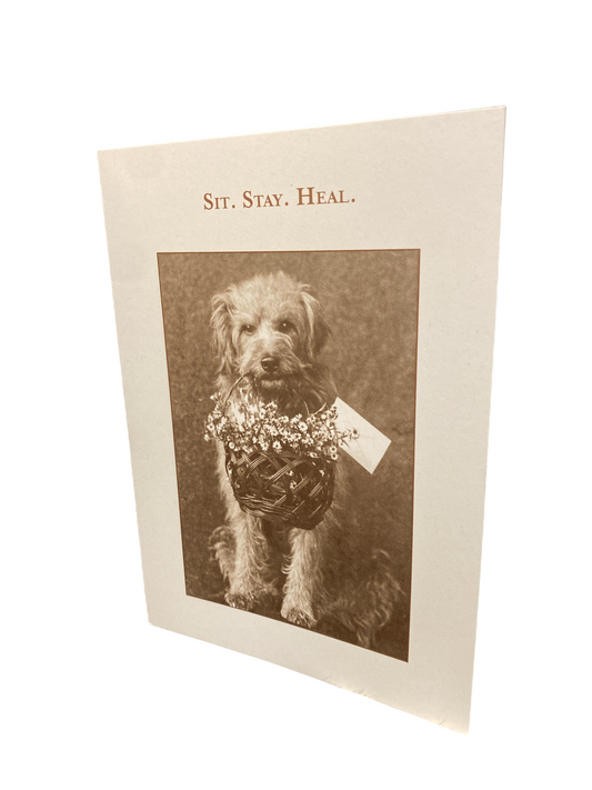 Sit. Stay. Heal. Greeting Card (Get Well)