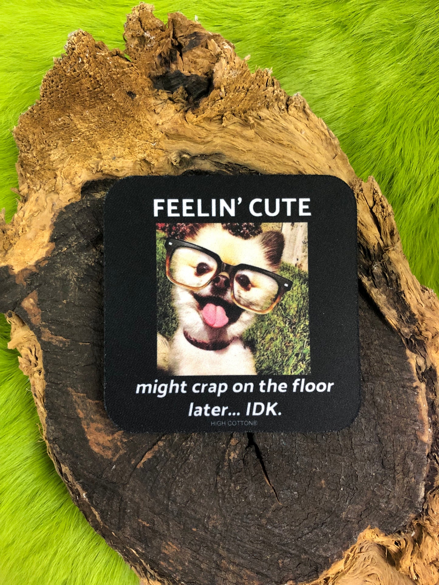 Feelin Cute Crap On Floor Coaster